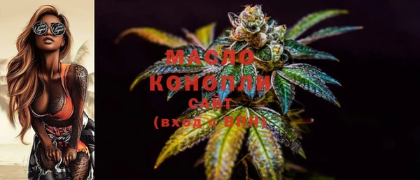 МДПВ Каменка
