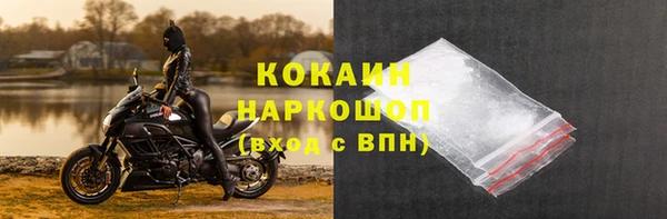 МДПВ Каменка