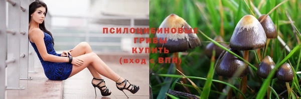 дживик Каменногорск