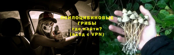 спиды Касимов