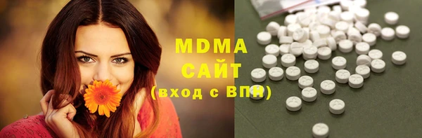 МДПВ Каменка