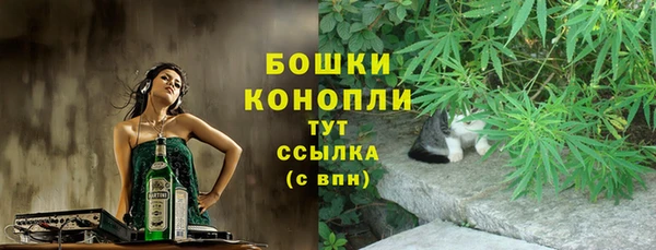 дживик Каменногорск