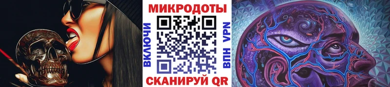 Купить где Кадников Псилоцибиновые грибы Magic Shrooms